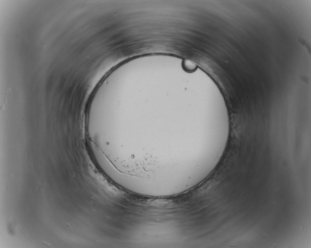 X0000102781140200809081022