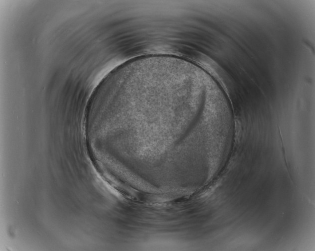 X0000102781141200809081022