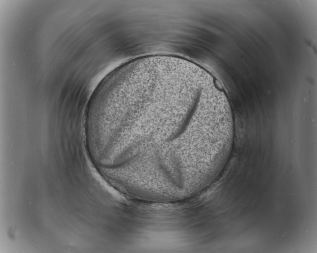 X0000102781142200809081022