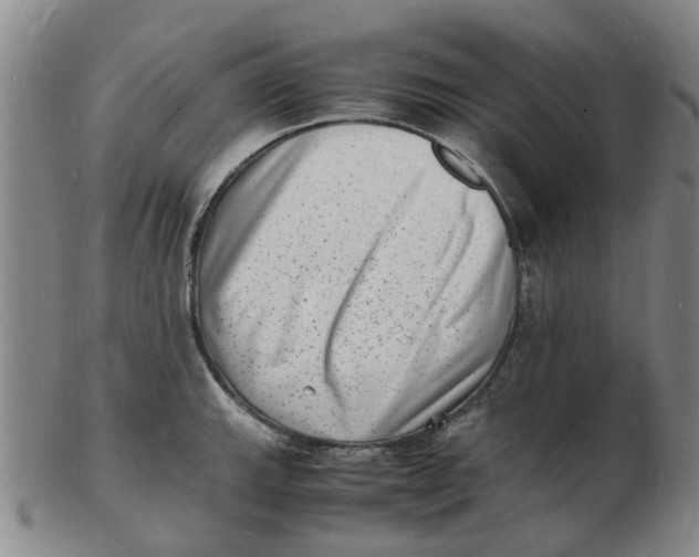 X0000102781143200809081022