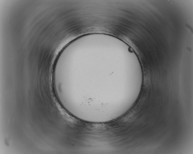 X0000102781144200809081022