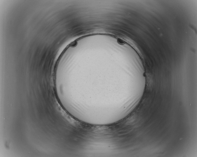 X0000102781148200809081022