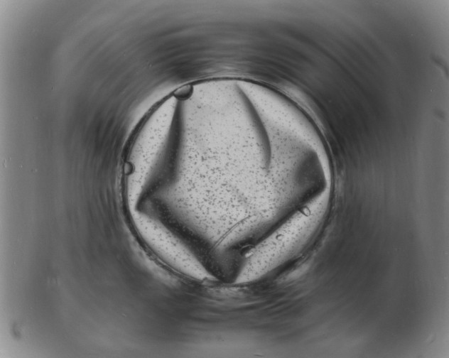 X0000102781149200809081022