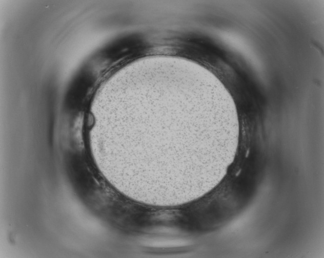 X0000102781150200809081022