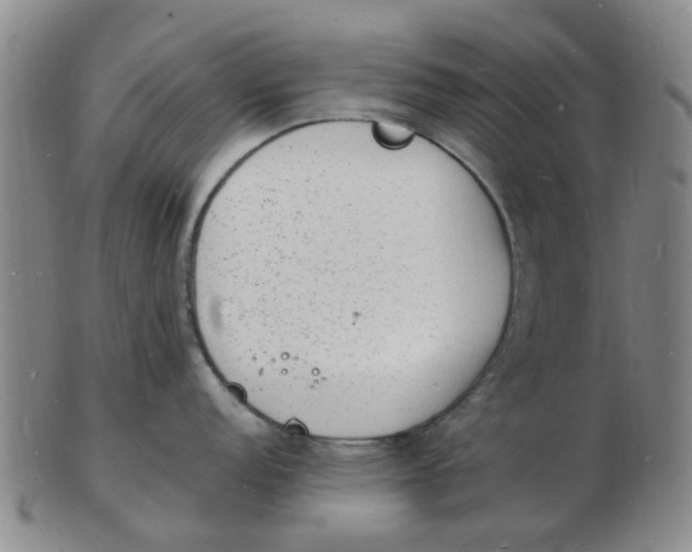 X0000102781152200809081022