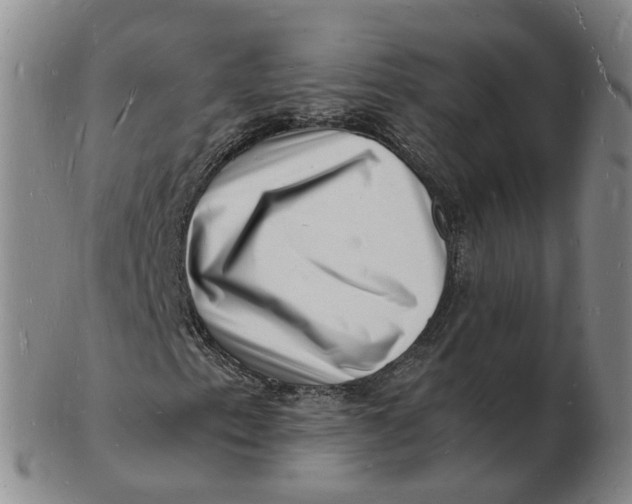 X0000102781153200809081021