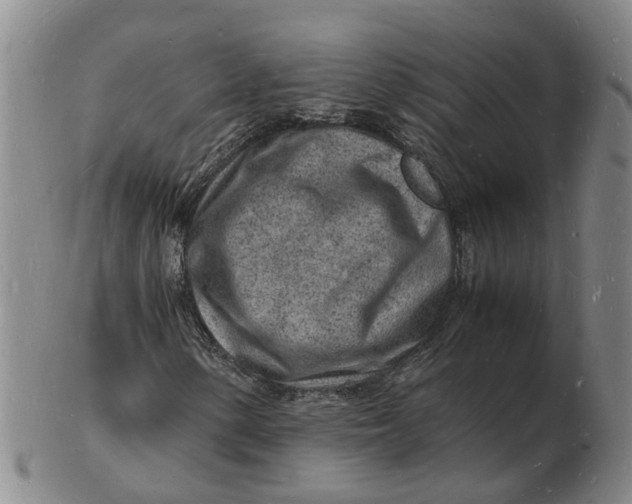 X0000102781154200809081021