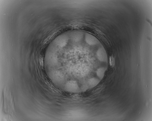 X0000102781155200809081021