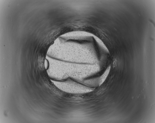 X0000102781156200809081021