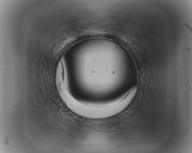 X0000102781157200809081021