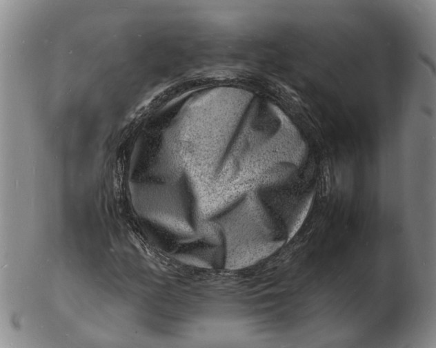 X0000102781158200809081021