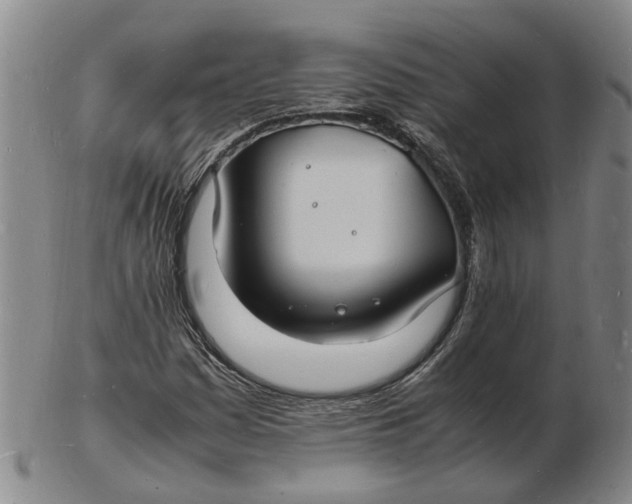 X0000102781161200809081021