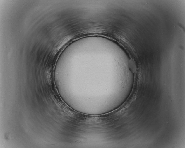 X0000102781162200809081021