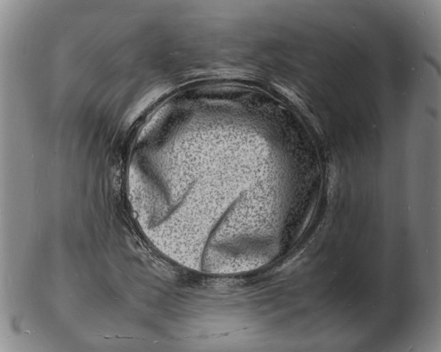 X0000102781163200809081021