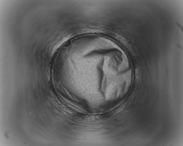 X0000102781165200809081021