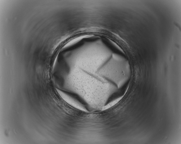 X0000102781166200809081021