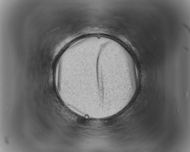 X0000102781167200809081021