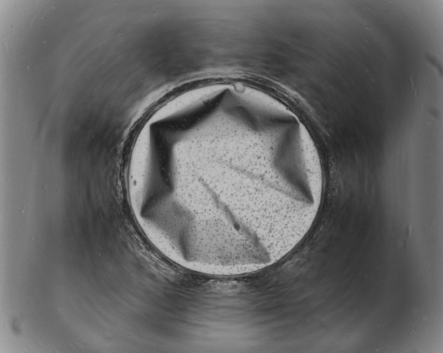 X0000102781168200809081021