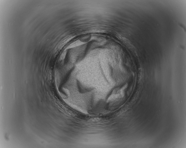 X0000102781169200809081021