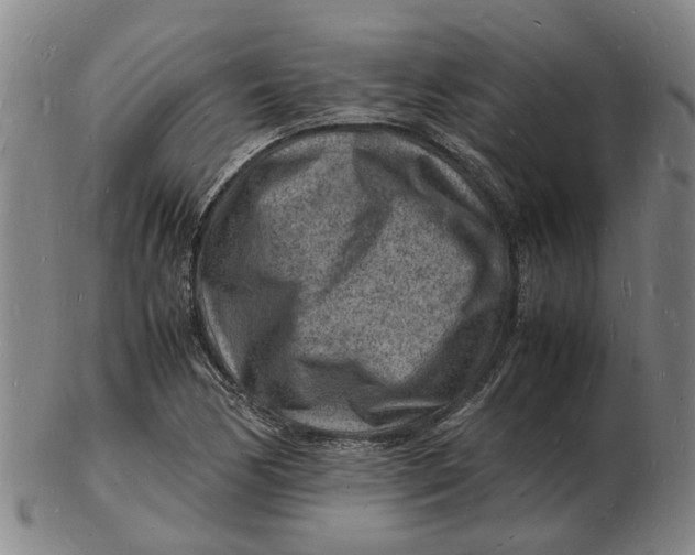 X0000102781170200809081021