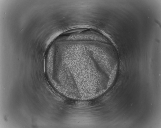 X0000102781171200809081021