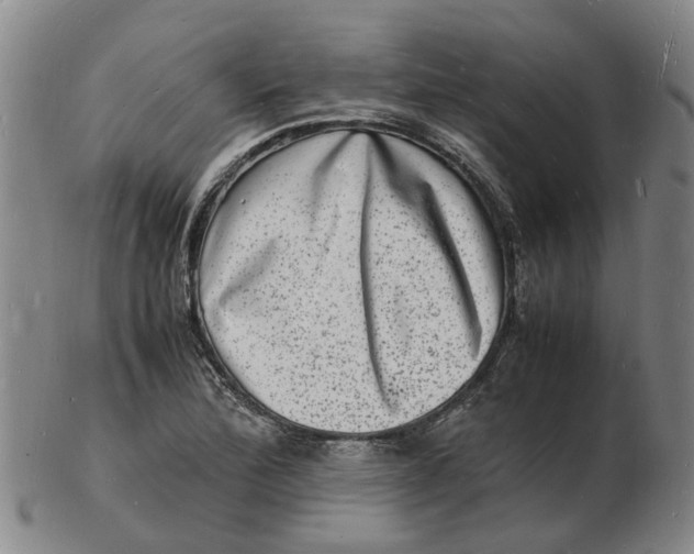 X0000102781172200809081021