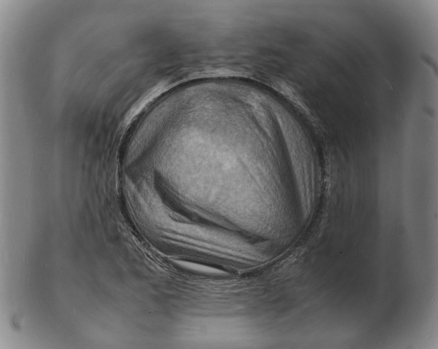 X0000102781173200809081021