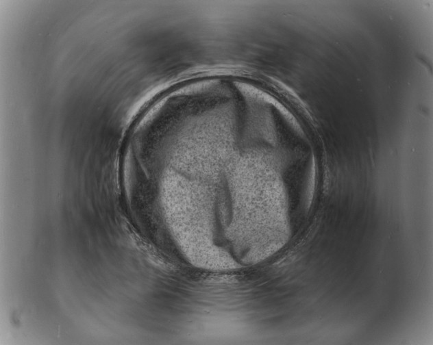 X0000102781174200809081021