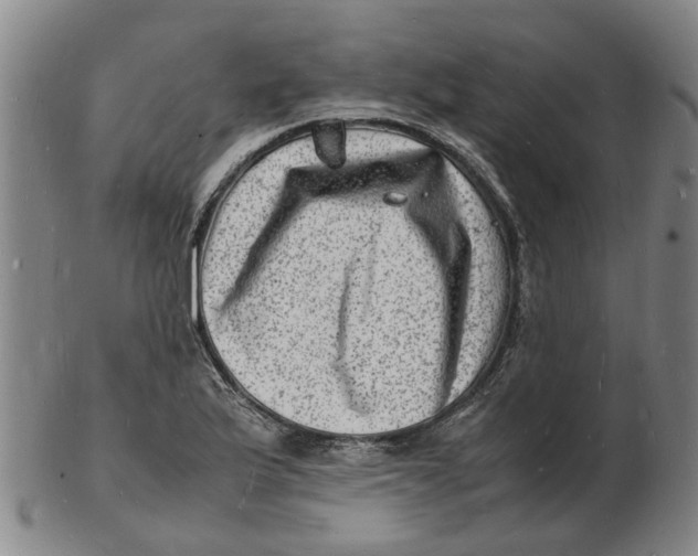 X0000102781175200809081021