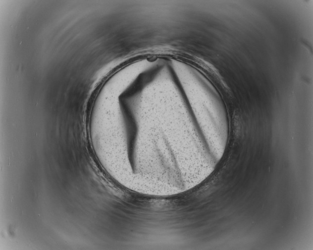 X0000102781176200809081021