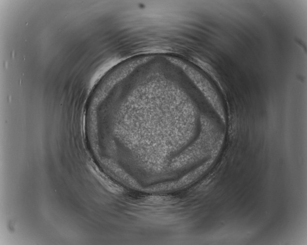 X0000102781179200809081021