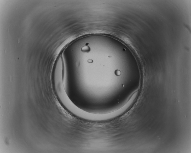 X0000102781181200809081020