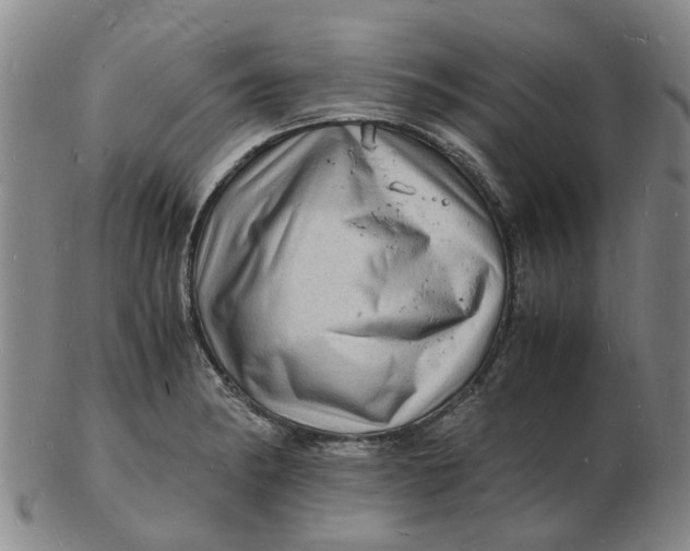 X0000102781182200809081020