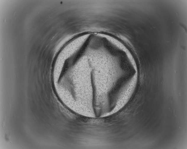 X0000102781183200809081020