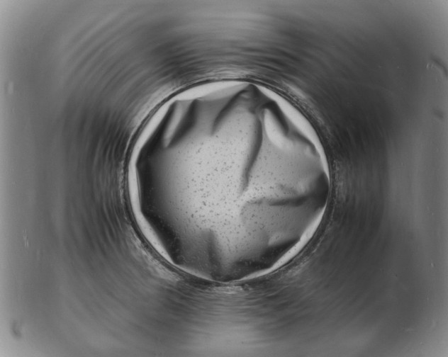 X0000102781186200809081020