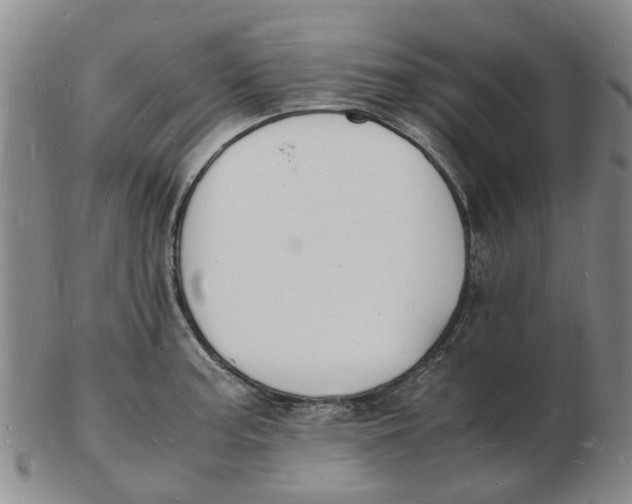 X0000102781187200809081020