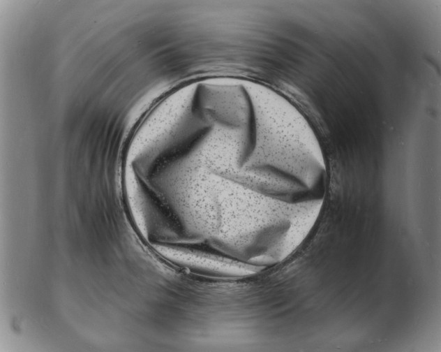 X0000102781188200809081020