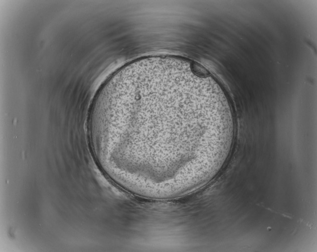 X0000102781189200809081020