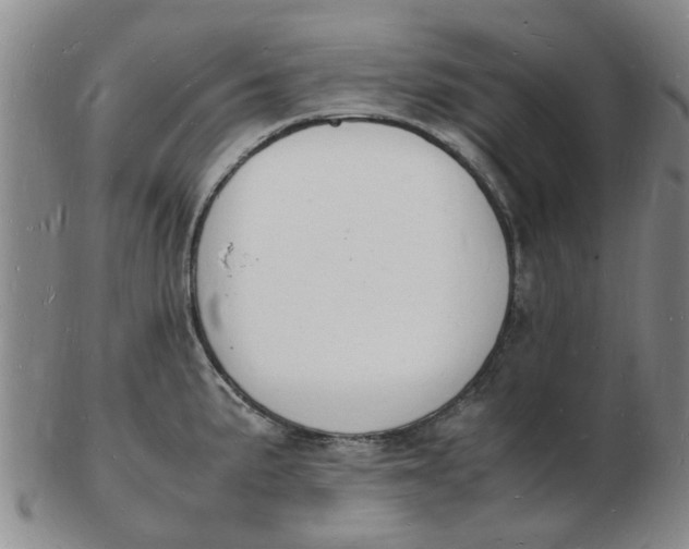 X0000102781191200809081020