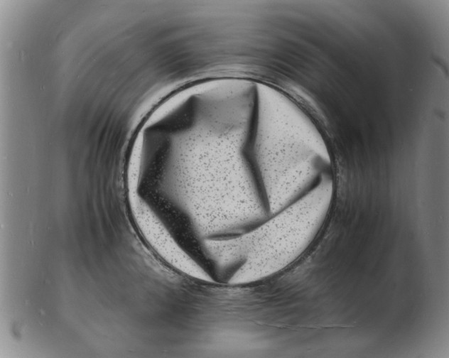 X0000102781192200809081020