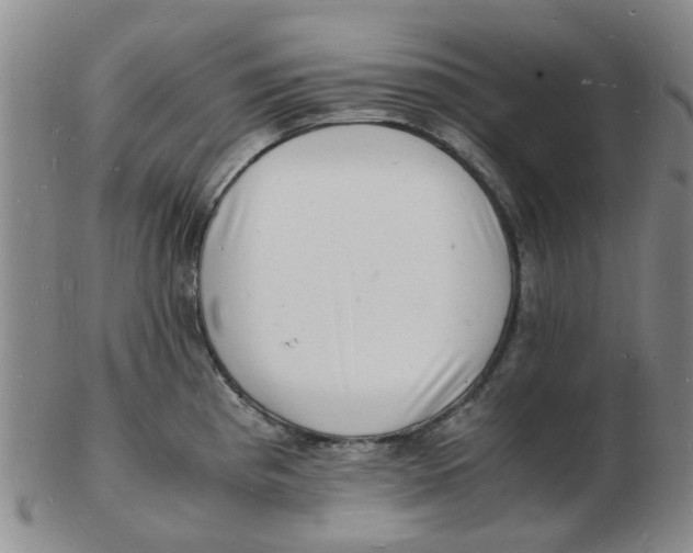 X0000102781193200809081020