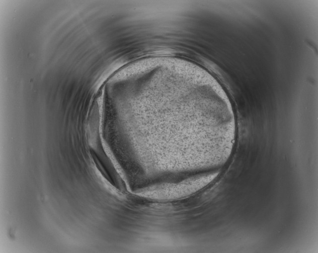 X0000102781194200809081020