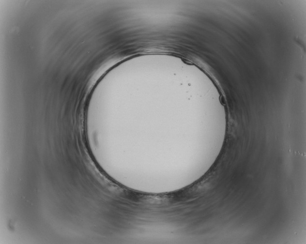 X0000102781195200809081020