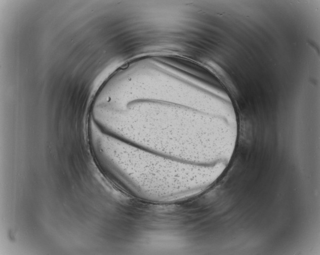 X0000102781196200809081020