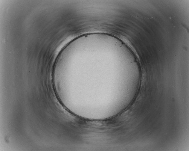 X0000102781197200809081020