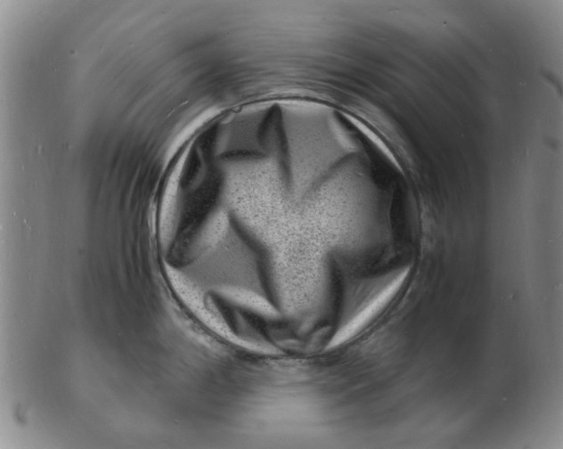 X0000102781198200809081020