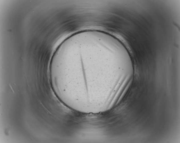 X0000102781199200809081020