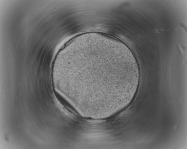 X0000102781200200809081020