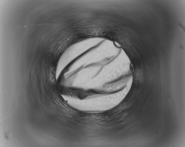 X0000102781202200809081020