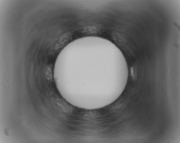 X0000102781203200809081020